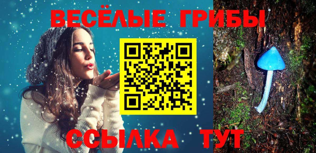 Галлюциногенные грибы Psilocybe  Вход с VPN  Семёнов 